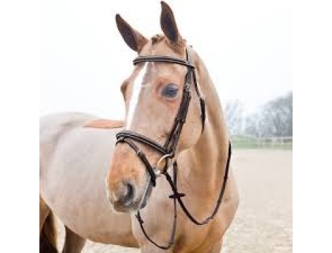 Horze Sparta Snaffle Bridle